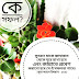 বাংলা ইসলামিক ছবি পিকচার ঃ ১৫০ টির বেশি ইসলামিক লেখা প্রোফাইল পিকচার 2020
