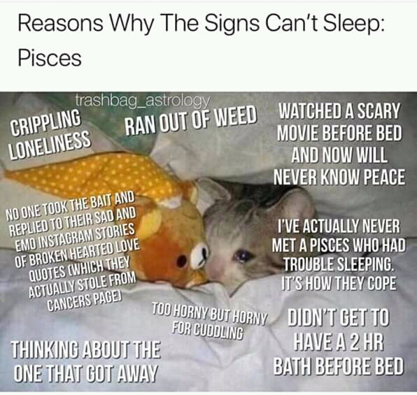 What's Keeping PISCES awake at night animated info-graphic