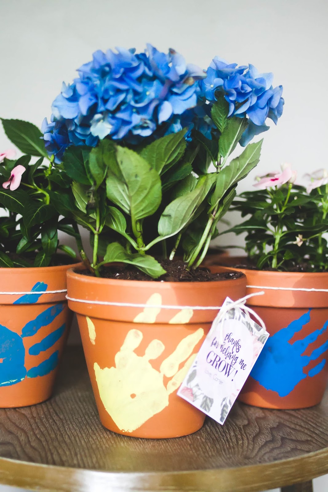 I Love You More Than Carrots: Thanks For Helping Me Grow - End Of Year  Teacher Gift Ideas