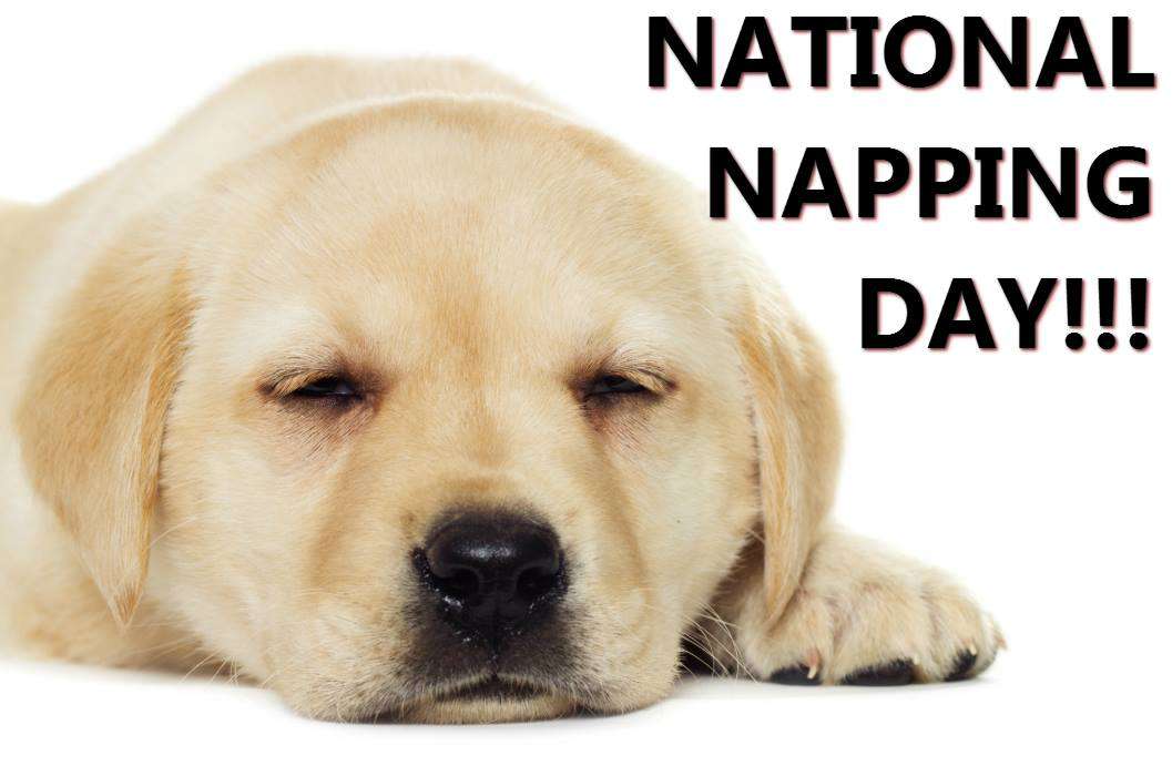 National Napping Day Wishes Photos National Napping Day Wishes Photos