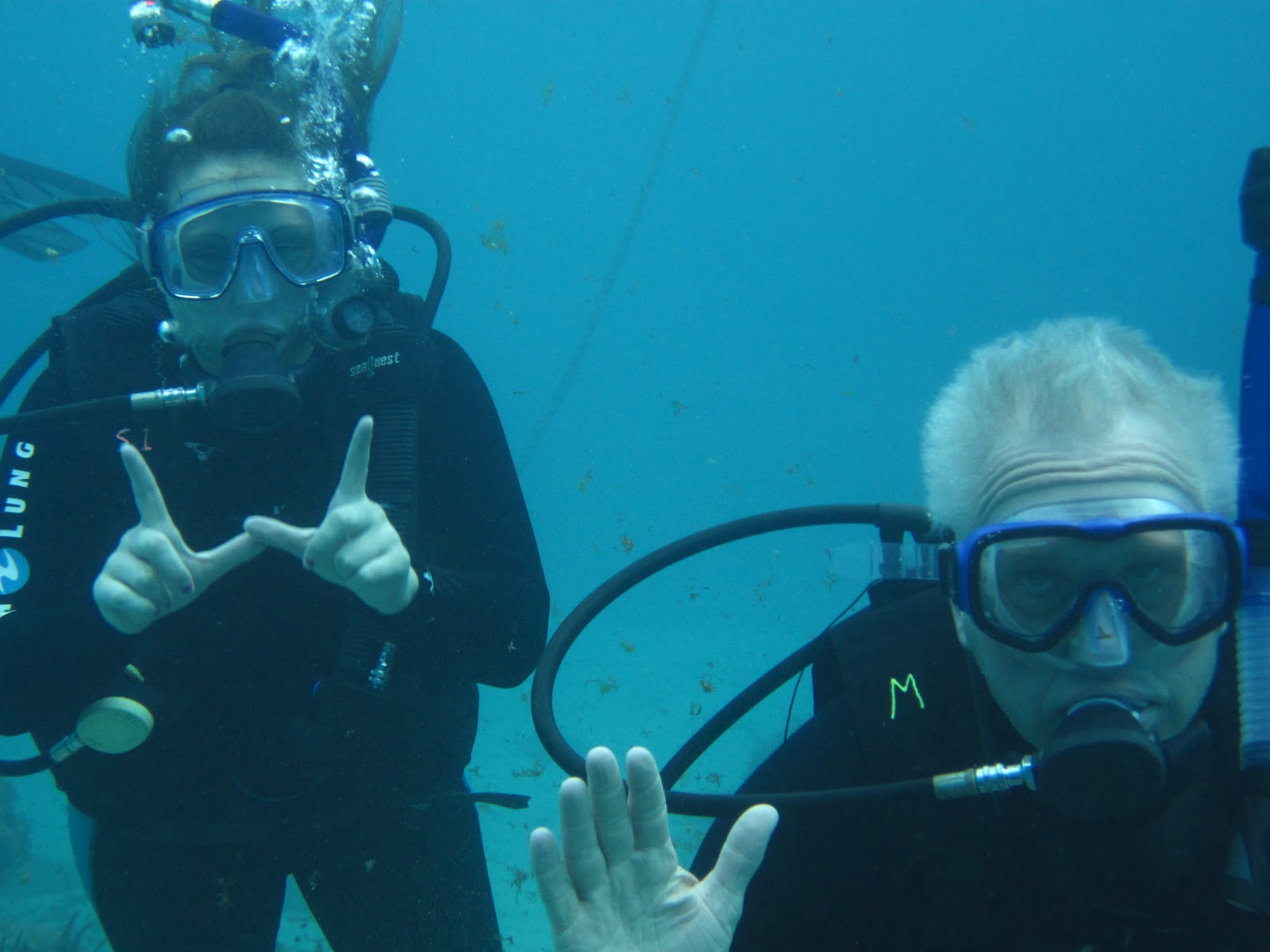 Grand Cayman Diving Blog Cayman Diving