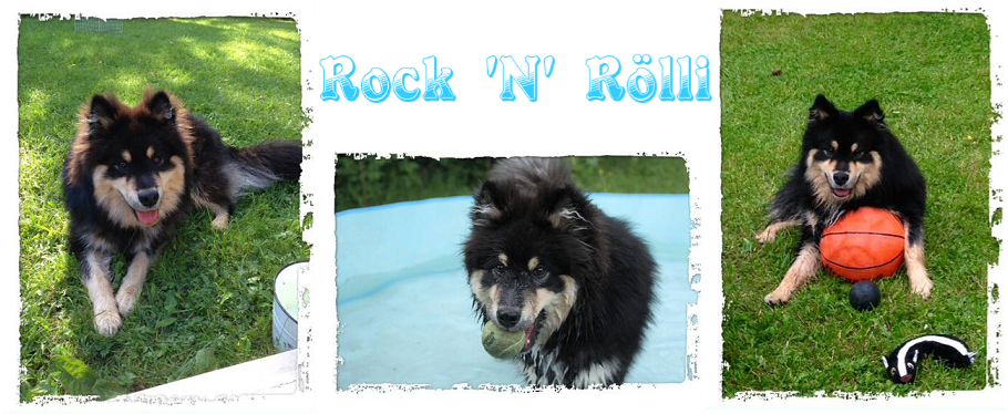 Rock 'N' Rölli