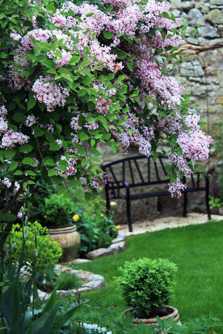 Le jardin des couronnes Un p'tit tour au jardin