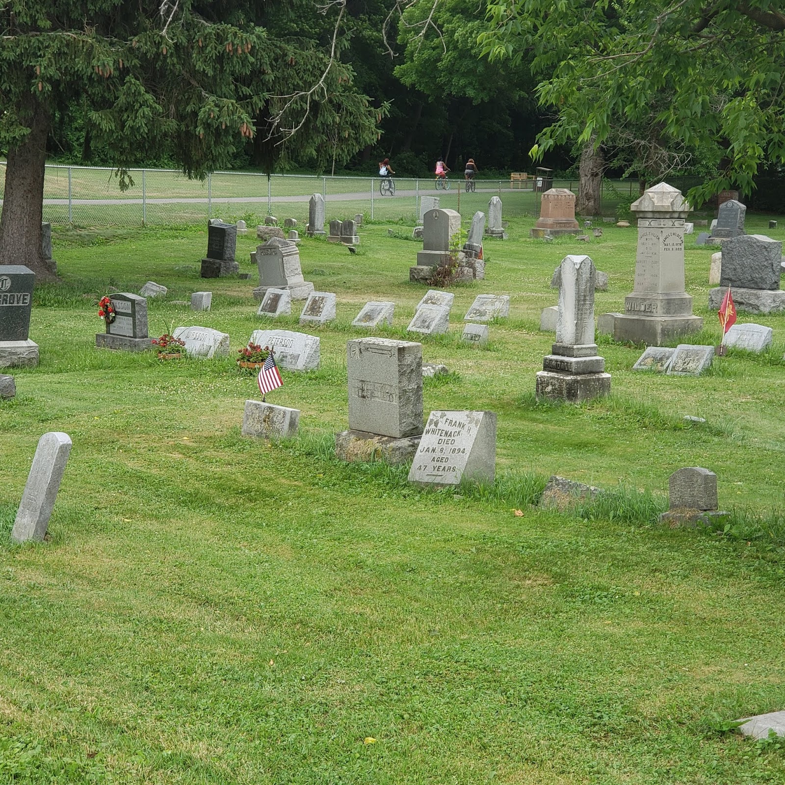 The Shamrock Genealogist Genealogy On the Road 1 Walking Through