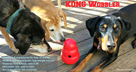 3 rescue dogs with interactive Kong Wobbler toy