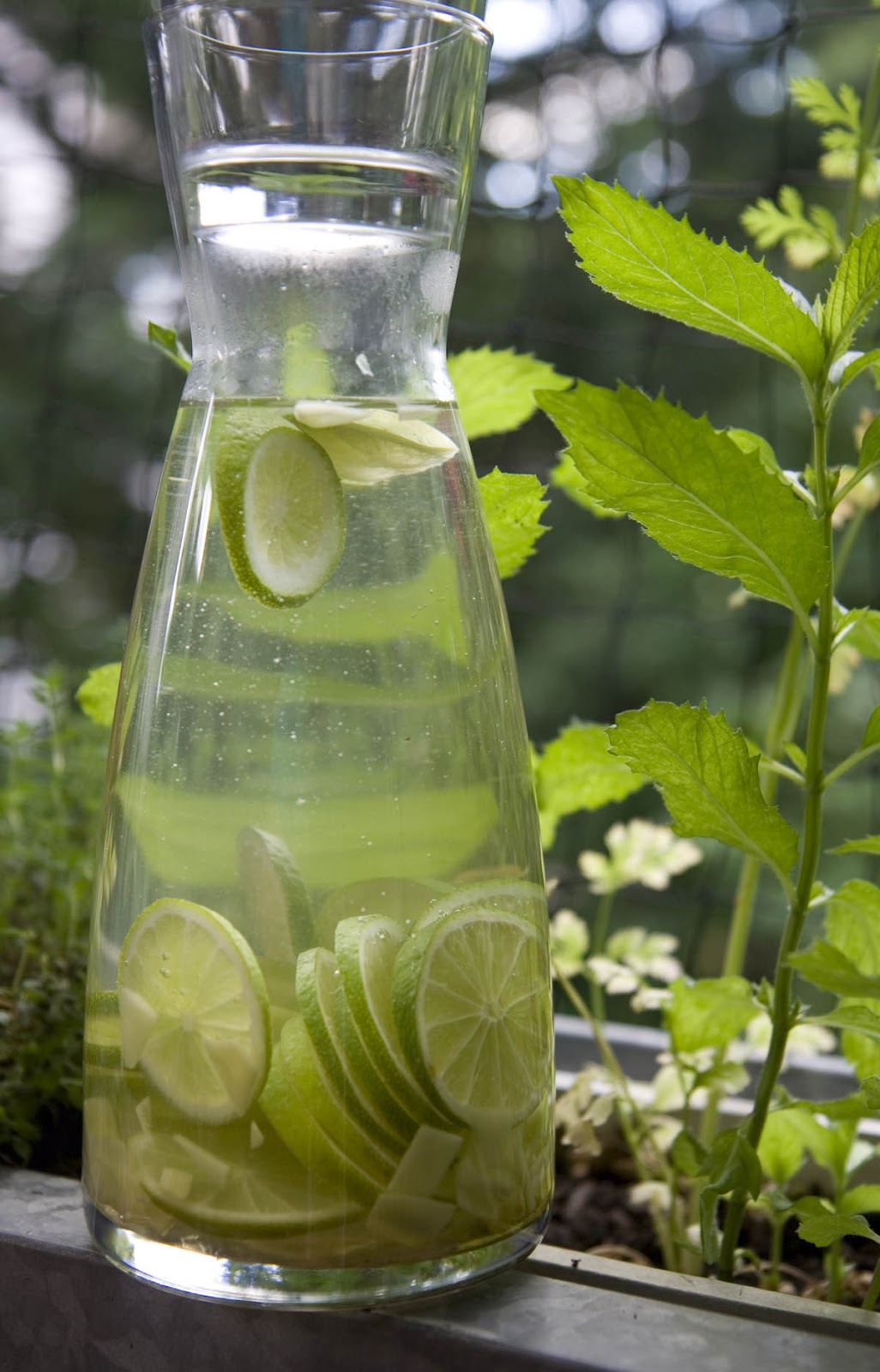 Ganz einfache Küche: Limettenlimonade Ganz einfache Küche: Limettenlimonade