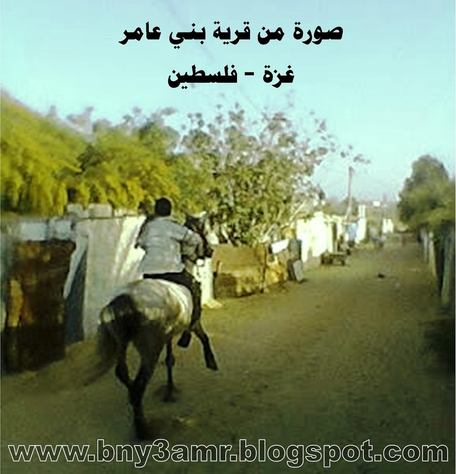 شجرة قبيلة العامري