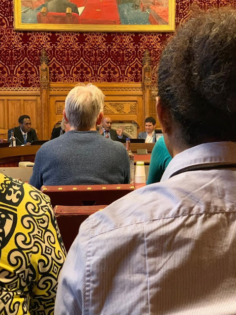 Pertemuan APPG on West Papua 4 Juni di Inggris, Dua Agenda Telah Diputuskan