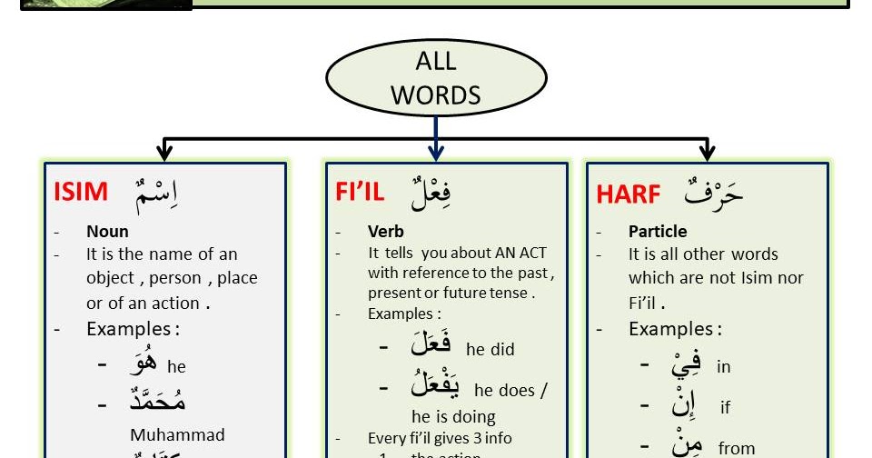 Arabic Grammar Made Easy & Fun ! Introduction Types of Words