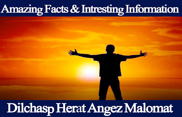 Amazing Facts & Intresting Information