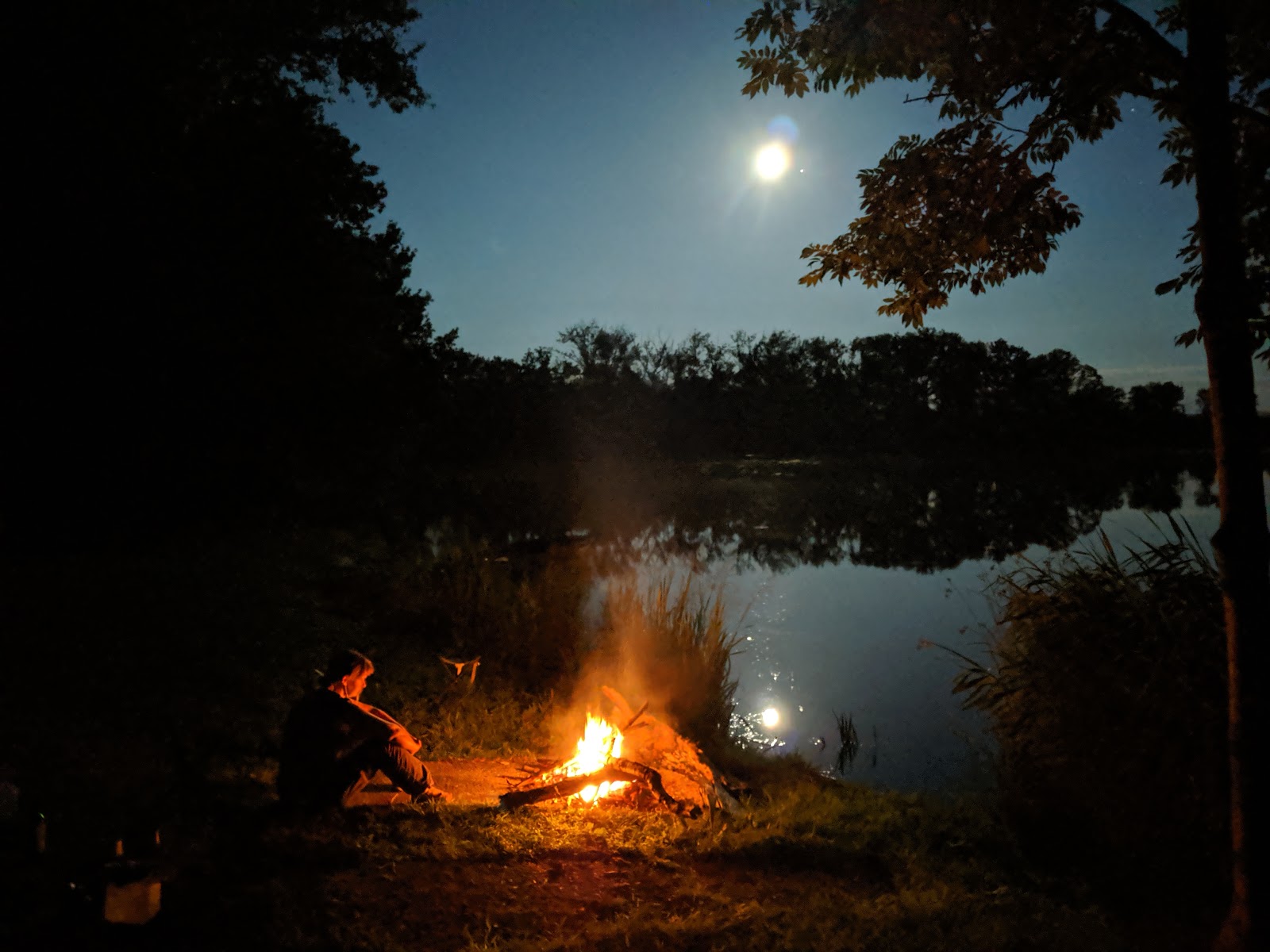 Marlene S Blog Magisches Tropenleuchten Im Leipziger Zoo