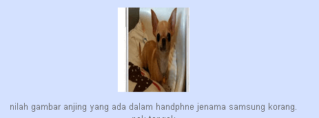 Gambar Anjing Tersembunyi Dlm Telefon Samsung Original