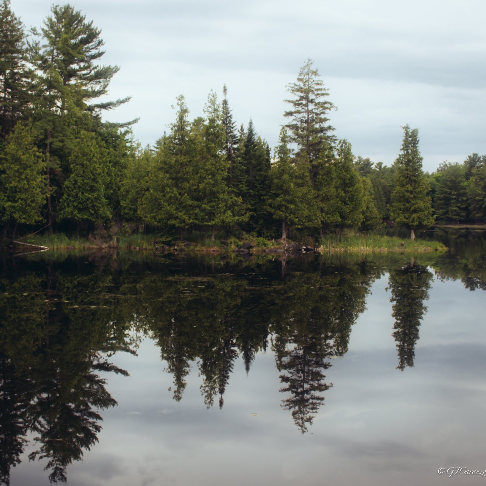 Morris Island Conservation Area: A Short Day Trip from Ottawa, Ontario