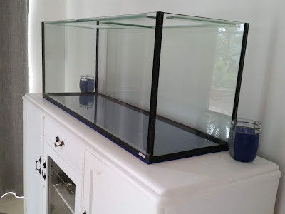 200 L fish tank Paludarium