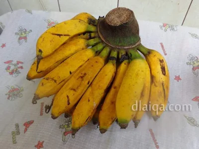 buah pisang