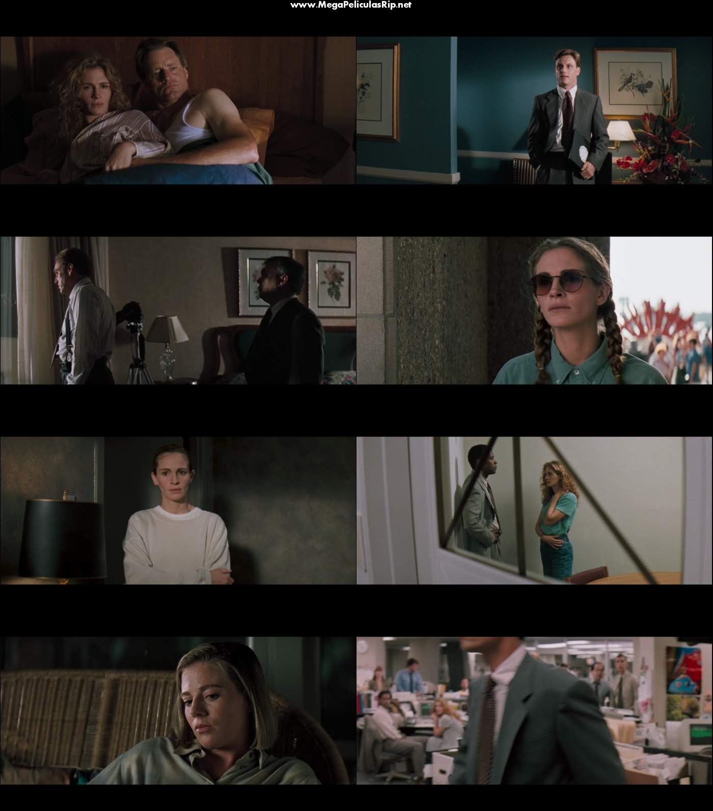 El Informe Pelicano 1080p Latino