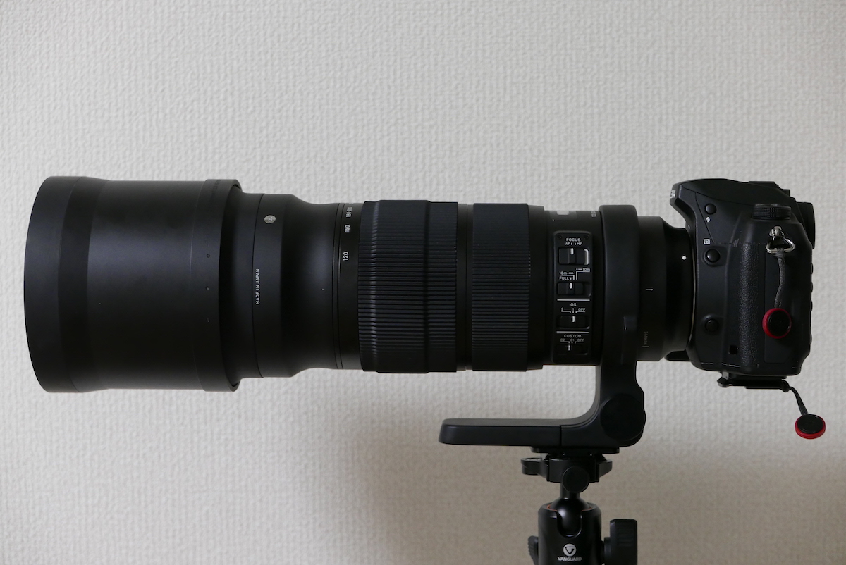 120-300mm F2.8 DG OS HSM | Sports | 五海里