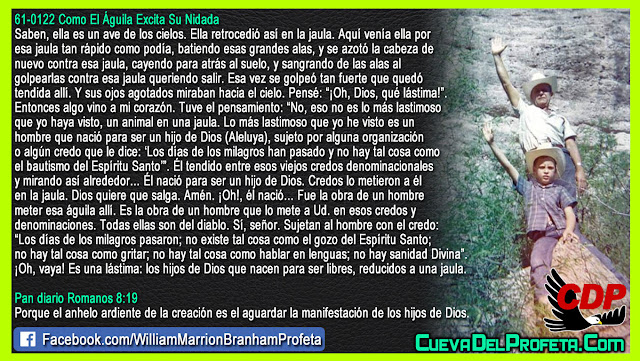 Hijos de Dios que nacen para ser libres reducidos a una jaula - Citas William Branham Mensajes