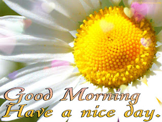 Happy Good Morning Happy Good Morning Messages
