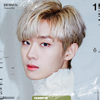 DEMIAN Cassette