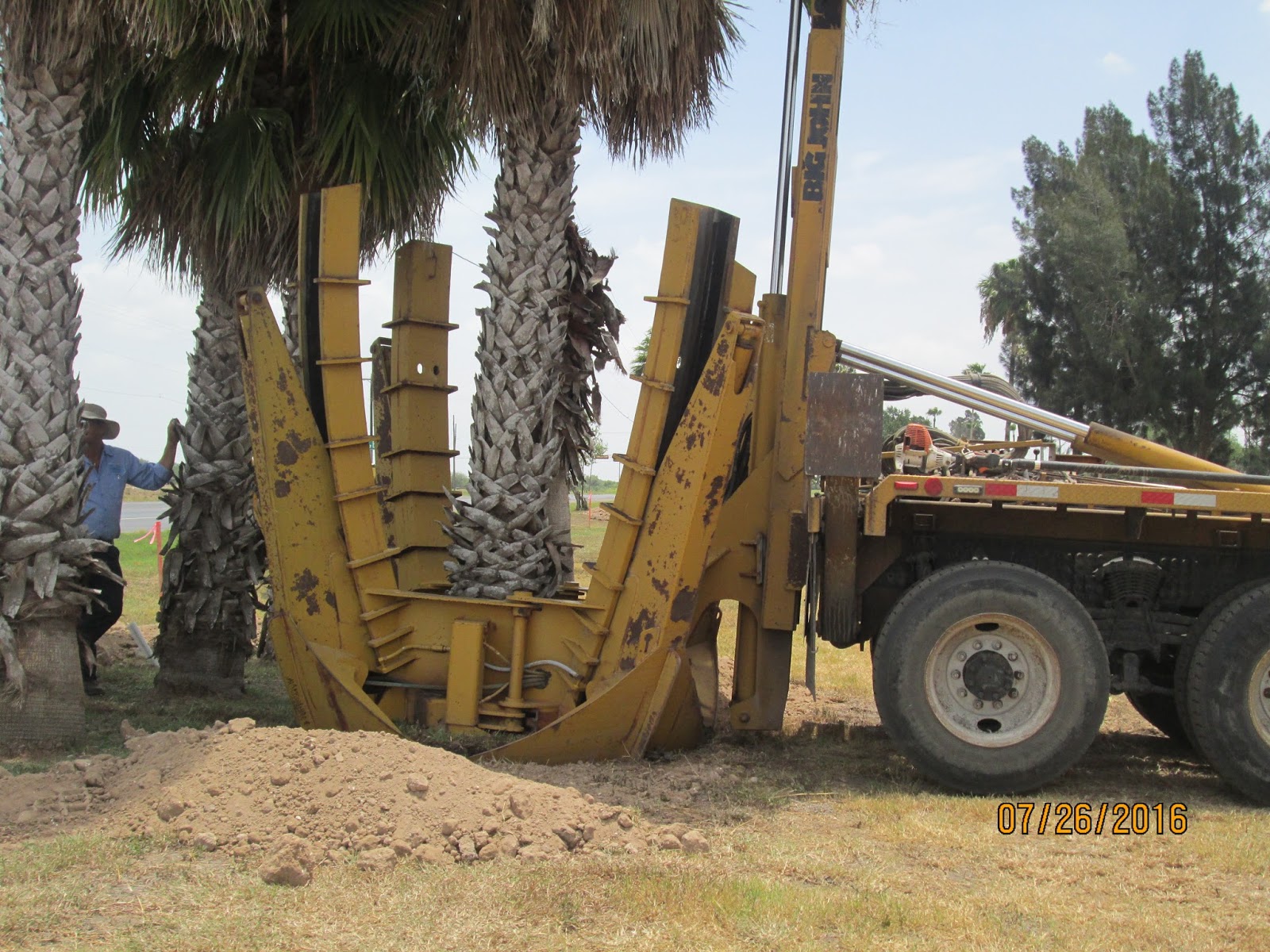 Rio Bravo Subdivision POA Palm Trees Along Military Highway