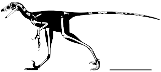 The Theropod Database Blog Lori published! Meet Hesperornithoides