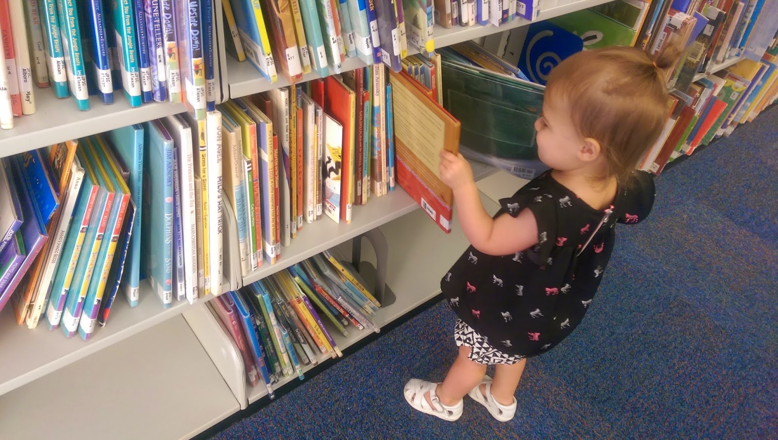 my first library visit
