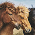 Top 10 Horses Wallpaper Images, Greetings, Pictures, Images, Greetings Photos
