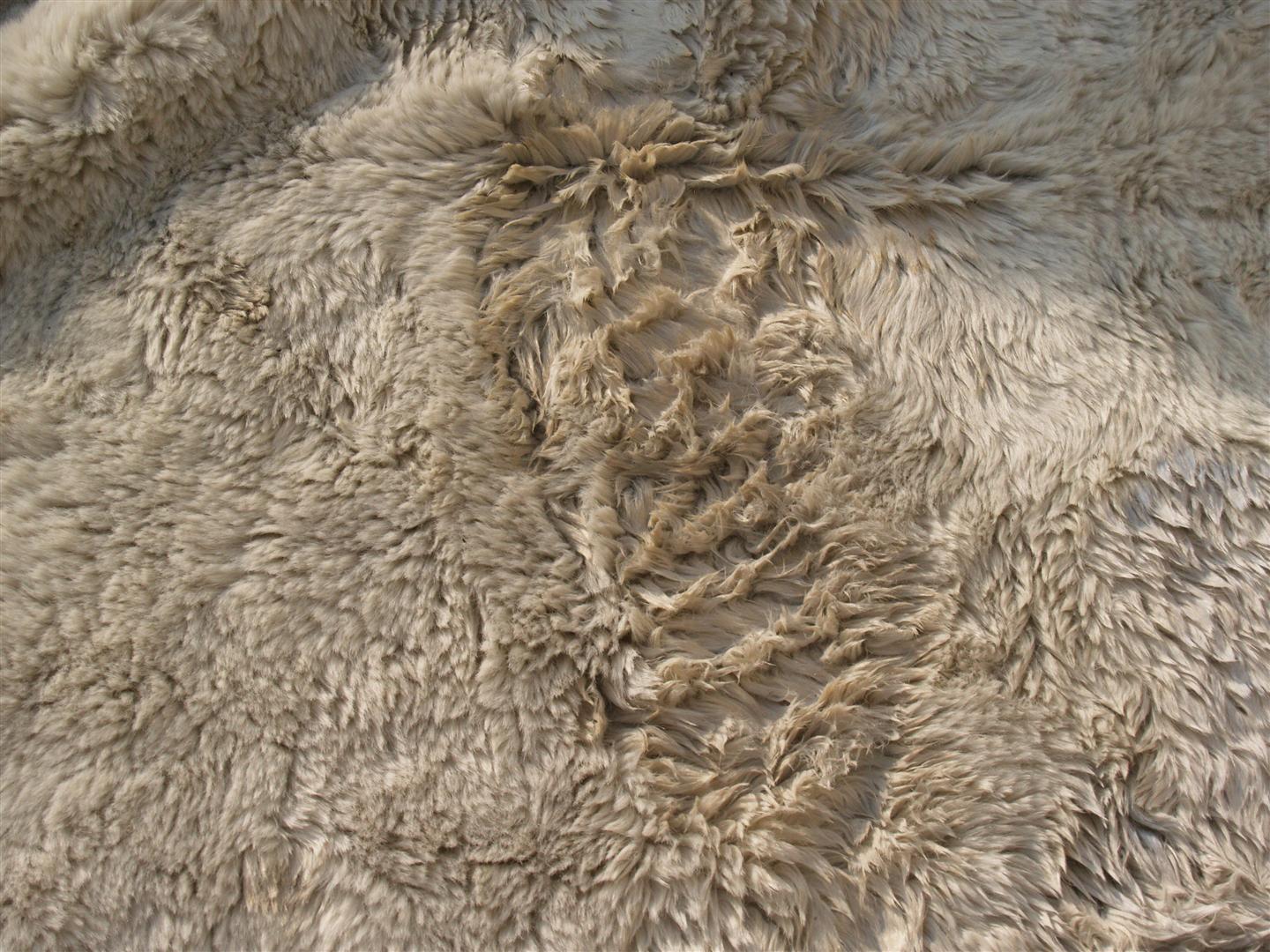 Rug Master Sheepskin Rug Cleaning
