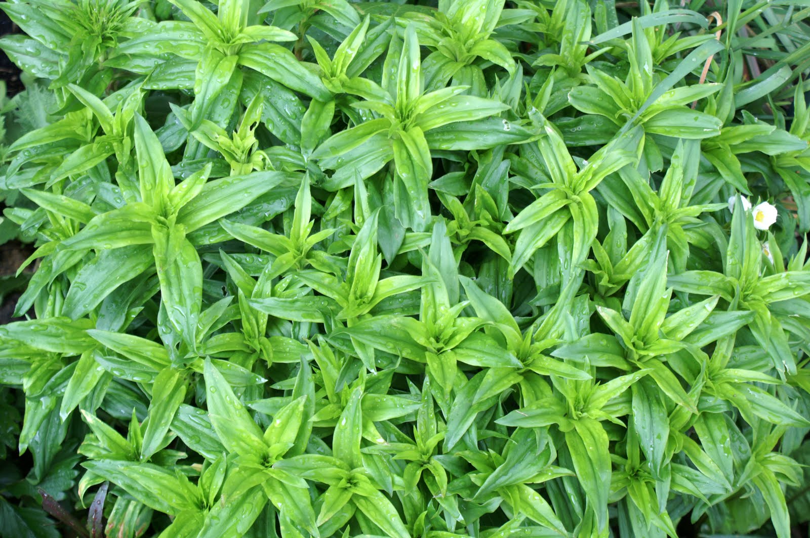 Doğayı Keşfederken Mayıs 2012