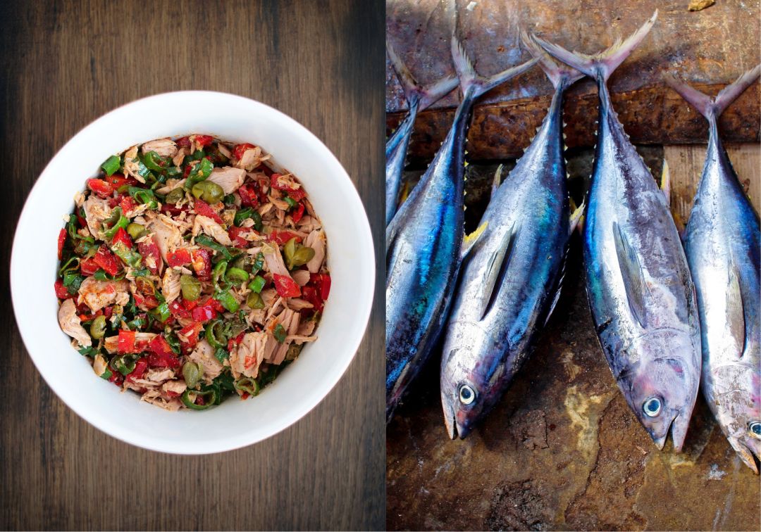Thunfischsalat mit Paprika und Kapern auf Crostini ~ Moderne Topfologie ... Thunfischsalat mit Paprika und Kapern auf Crostini ~ Moderne Topfologie ...