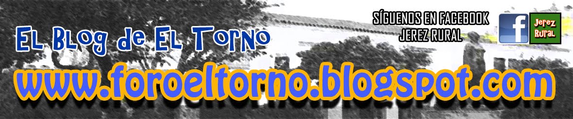 foroeltorno.blogspot.com
