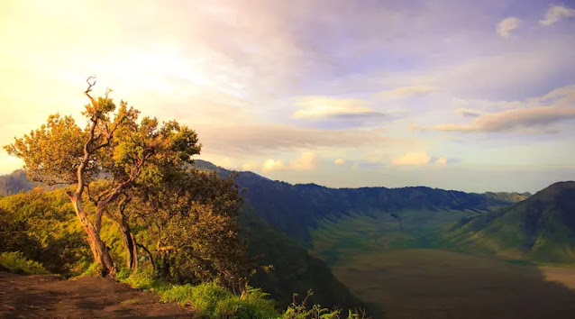 Mount Bromo Tour  Penanjakan 1