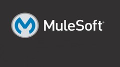 Mulesoft beginners to expert (Mule 4.2) Mulesoft beginners to expert (Mule 4.2)