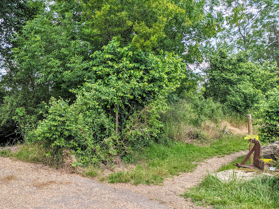 Turn right on Hatfield bridleway 75 and head E Turn right on Hatfield bridleway 75 and head E