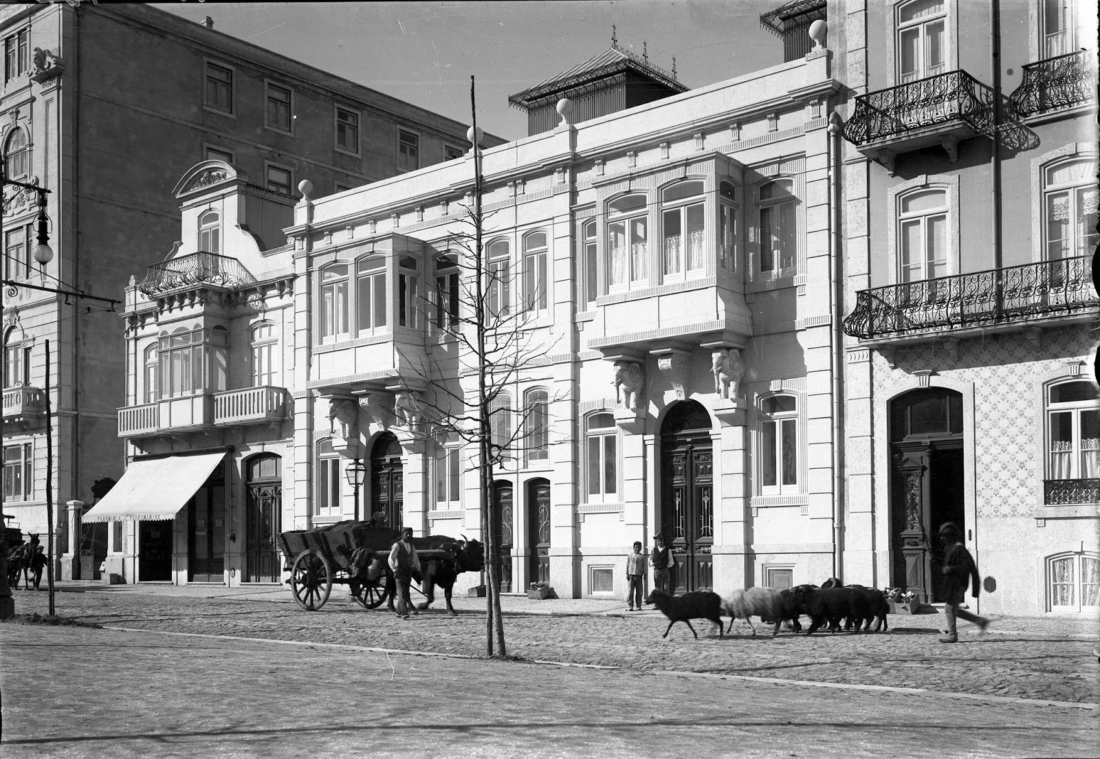 Lisboa De Antigamente Avenida Da República 27 33