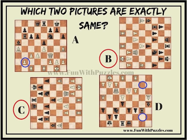 Spot the Identical Chess Pictures: Chess Players Challenge Answer