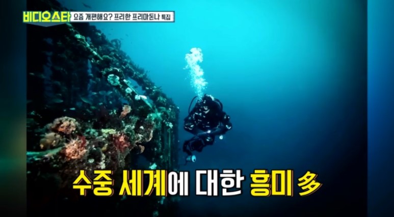 전 아나운서 현 배우인 최송현 근황 | 인스티즈