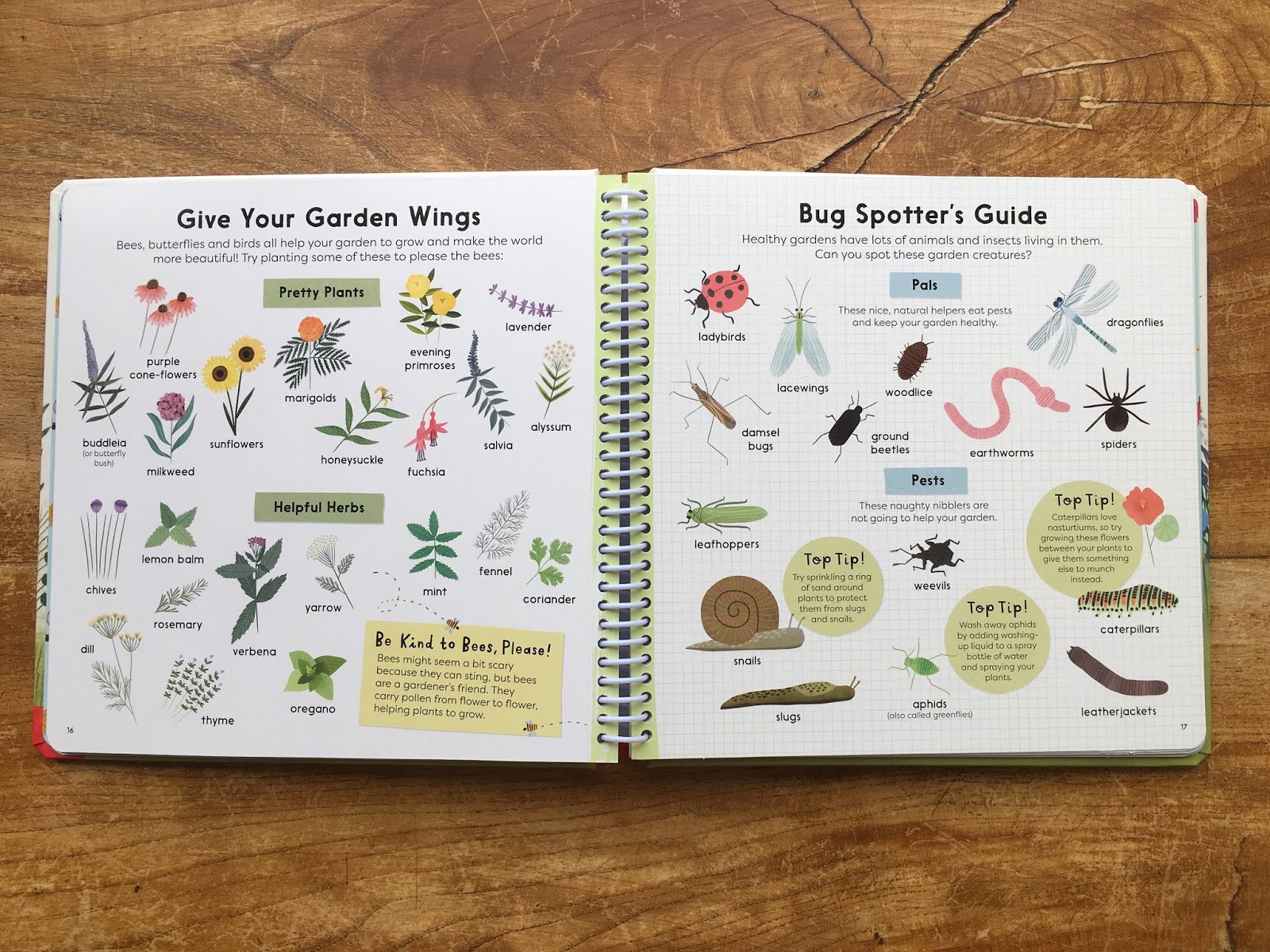 Red House Garden My Favorite Bush Buddleja Davidii Santana