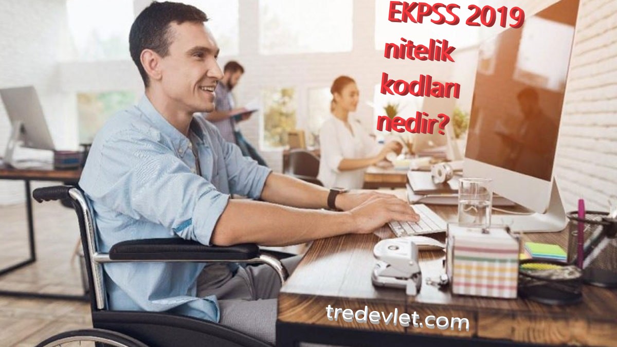 EKPSS nitelik kodları nedir? 6225,2049,7361,7364 nitelik kodları nedir?