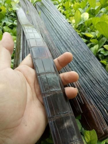 Dây Nịt Thắt Lưng Nam Da Cá Sấu Thật Cao Cấp 9 faf021f5b 7aa4 4fbd 8f70