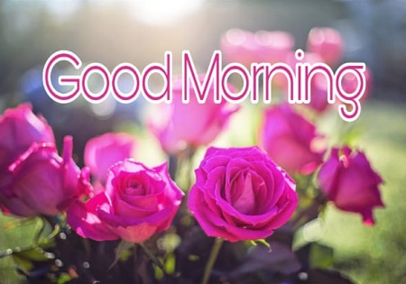 New Good Morning New Good Morning