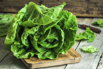 حمض الفوليك (ڨيتامين ب 9)، فوائده واعراض نقصه وأهم 10 مصادر للفولات في الغذاء Romaine-lettuce