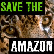 Salva l'amazzonia!