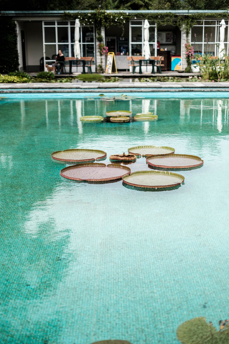 Botanischer Garten Verbania Reise in die 70'er