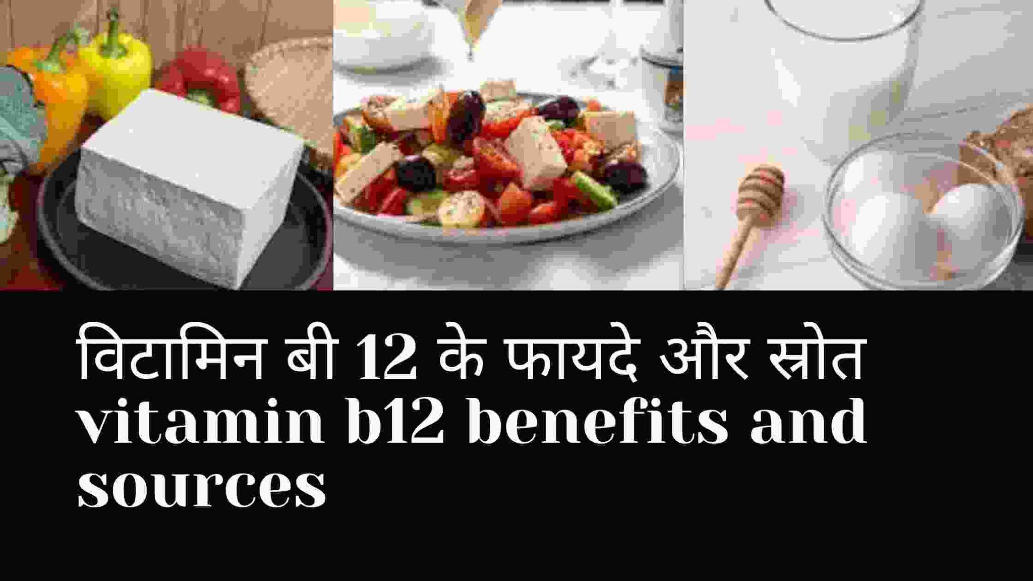 सेहत के लिए विटामिन बी12 के शाकाहारी स्रोत और फायदे vitamin b12