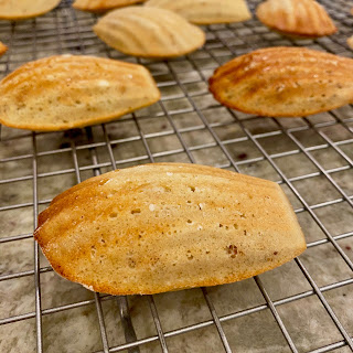 Madeleines Fresh Out of The Oven