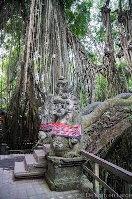 Monkey Forest - Ubud - Bali