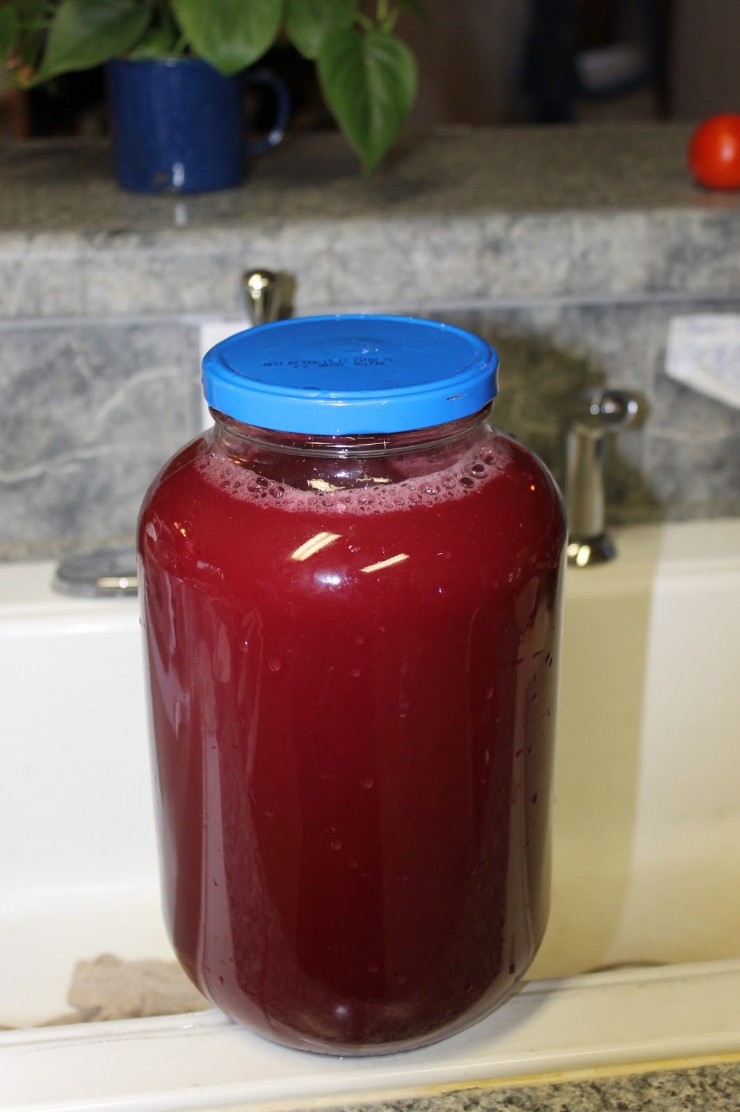 Chokecherry Jelly Recipe A Ranch Mom