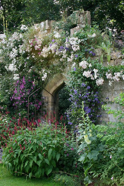 Colonial & Early American Gardens